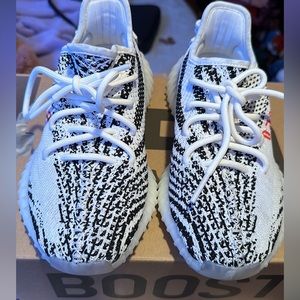 Yeezy Boost 350 V2